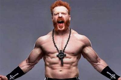 Sheamus Net Worth 2024, Age, Height, Bio, Birthday, Wiki!