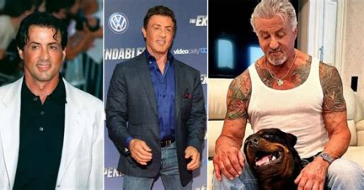 Sylvester Stallone Net Worth 2024, Age, Height, Bio, Birthday, Wiki!