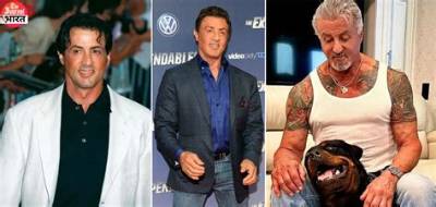 Sylvester Stallone Net Worth 2024, Age, Height, Bio, Birthday, Wiki!