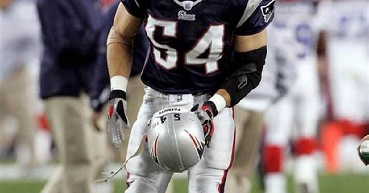 Tedy Bruschi Net Worth, Age, Height, Bio, Birthday, Wiki!