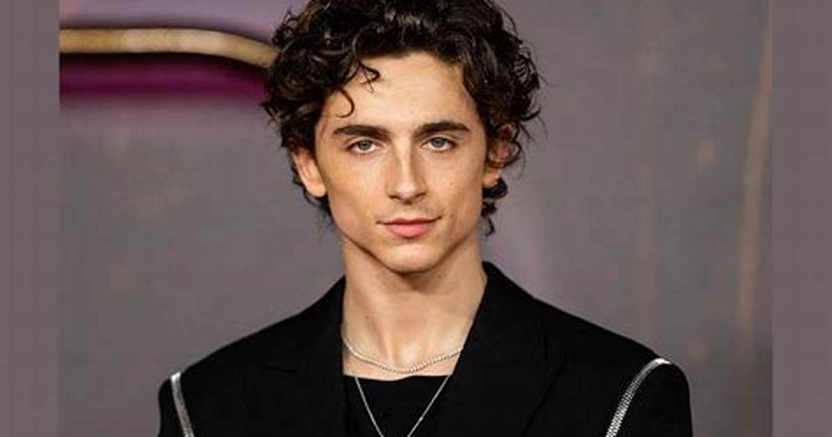 Timoth%C3%A9E Chalamet Net Worth Age Height Bio 400. Jpg