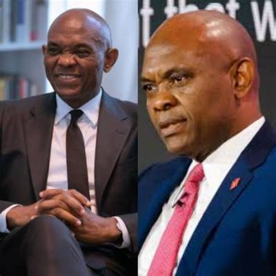 Tony Elumelu Net Worth, Age, Height, Bio, Birthday, Wiki!