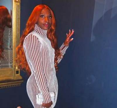 Twanisha Terry Net Worth, Age, Height, Bio, Birthday, Wiki!