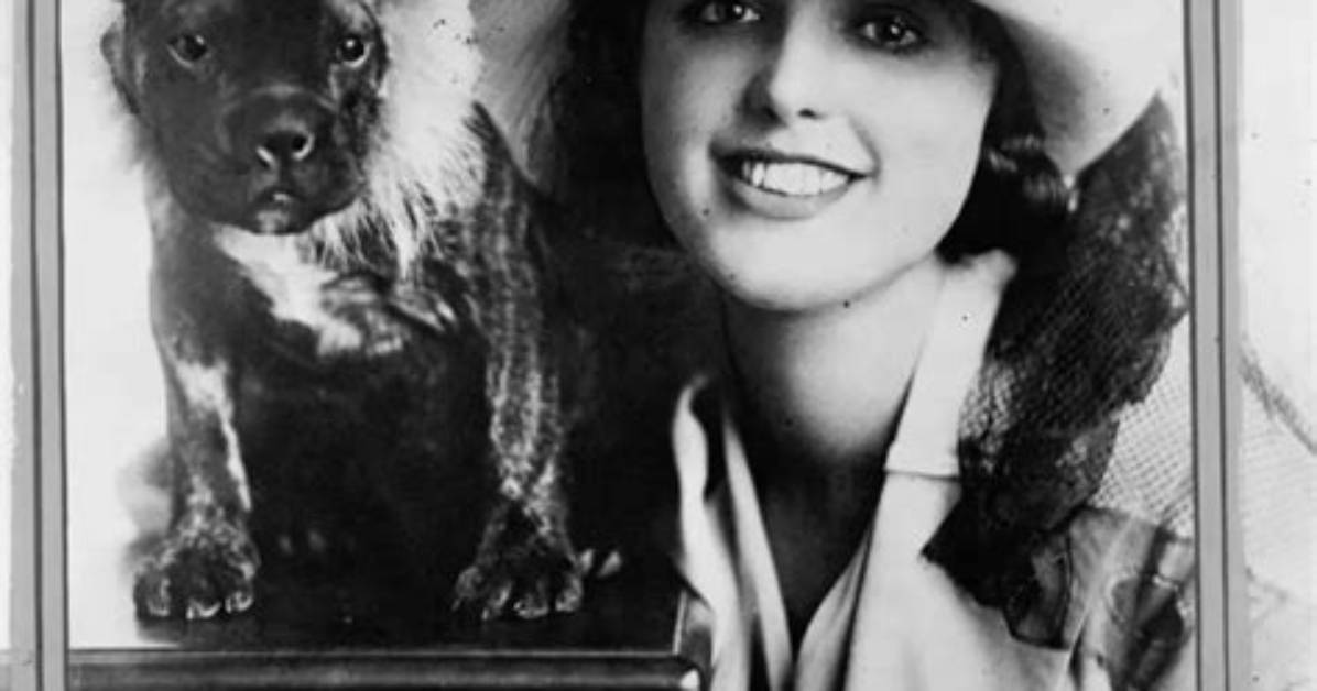 Virginia Rappe Net Worth, Age, Height, Bio, Birthday, Wiki!