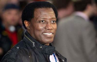 Wesley Snipes Net Worth 2024, Age, Height, Bio, Birthday, Wiki!
