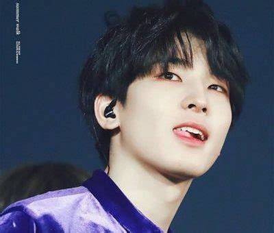 Wonwoo Net Worth, Age, Height, Bio, Birthday, Wiki!