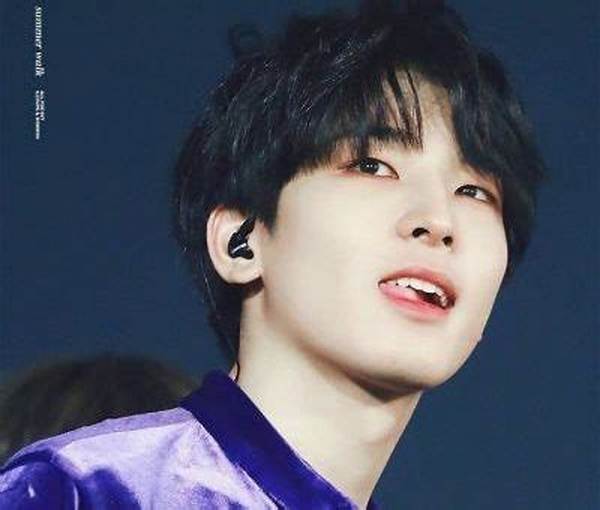 Wonwoo Net Worth, Age, Height, Bio, Birthday, Wiki!