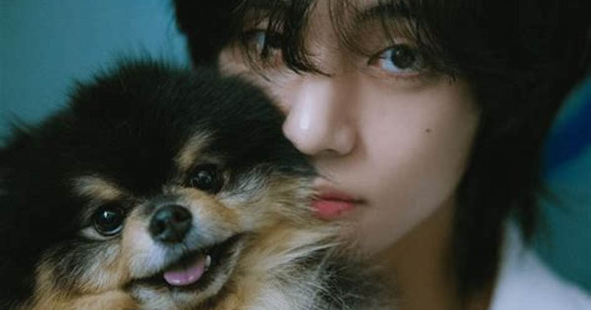 Yeontan Net Worth, Age, Height, Bio, Birthday, Wiki!