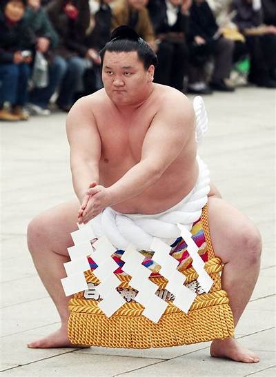 Yokozuna Net Worth 2024, Age, Height, Bio, Birthday, Wiki!